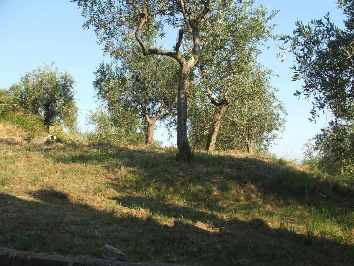 La Casetta Di Sofia Монеглия Екстериор снимка